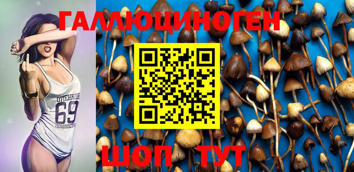 Галлюциногенные грибы Magic Shrooms  Галлюциногенные грибы Magic Shrooms  Вход с VPN  Волхов 